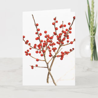 Winterberry Holiday Card