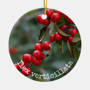 Winterberry Holly Botanical Ceramic Ornament