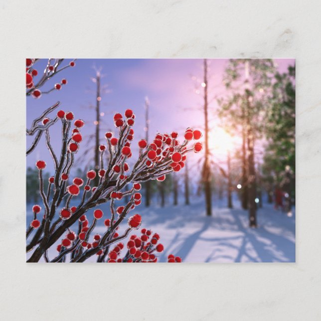 Winterberry in Ice Postcard (Front)