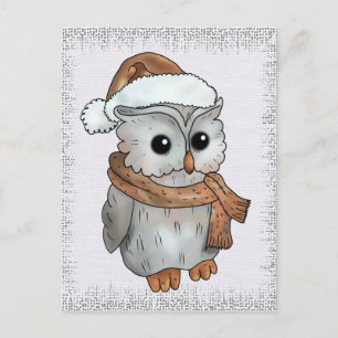 Wintereule Postcard