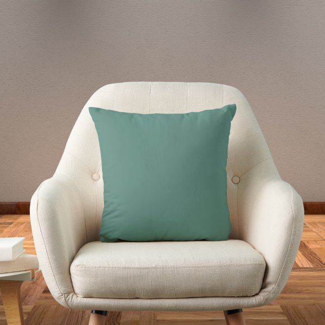 Wintergreen Dream Solid Colour Cushion (Creator Uploaded)