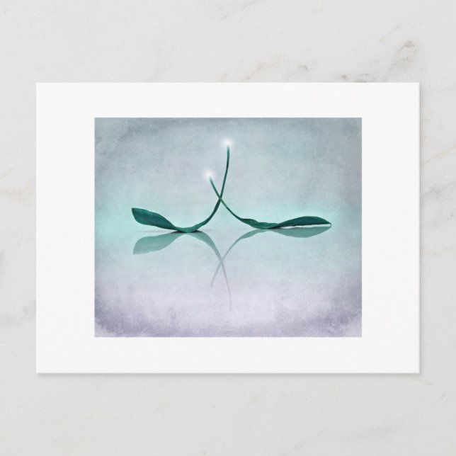 Winterlicht Postcard (Front)