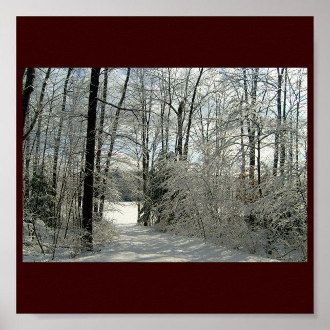 Winters Beauty Poster (Front)