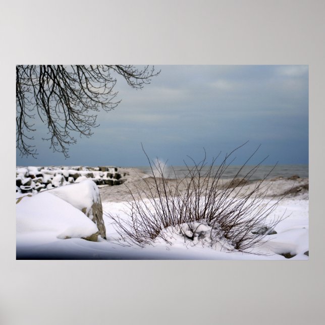 Winter's Beauty Poster (Front)