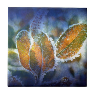 Winter's Chill Tile