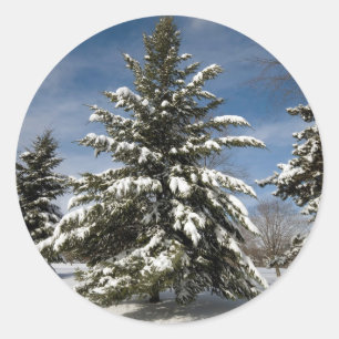 Winters Coming Classic Round Sticker