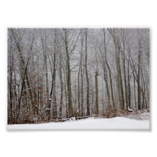 Winters Fog 7x5 Photographic Print