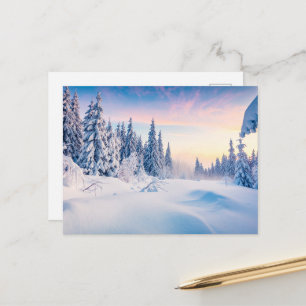 Winter's Gentle Glow  Holiday Postcard