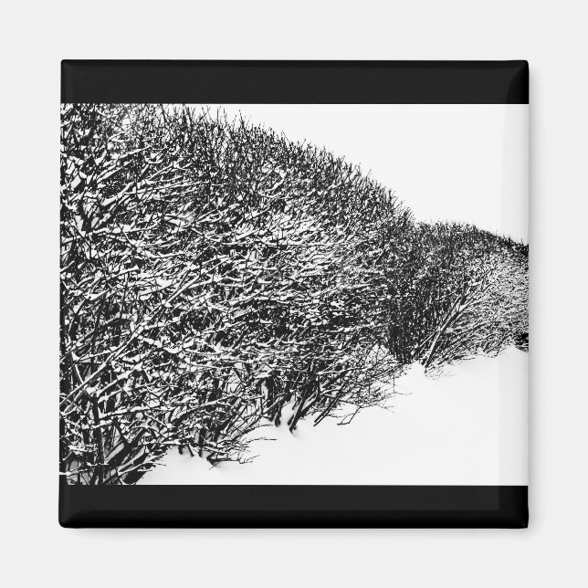 winter's hedge magnet (Front)