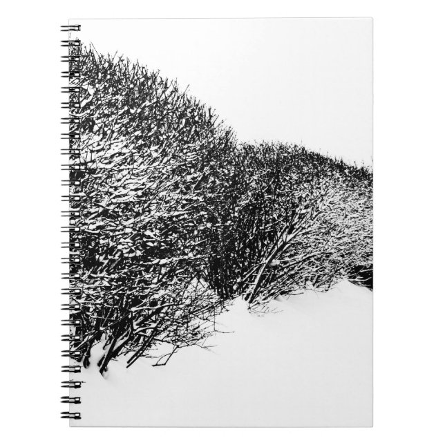 winter's hedge notebook (Front)