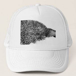 winter's hedge trucker hat