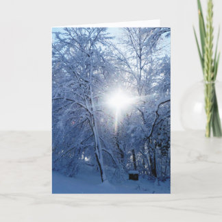 Winter's Kiss Holiday Card