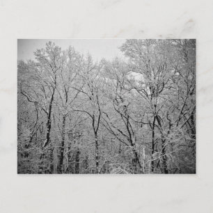 Winter's last breath postcard