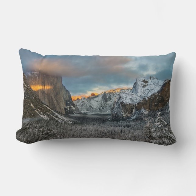 Winter's Mark Lumbar Cushion (Front)