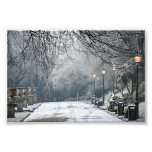 Winters Morning  Photo Print