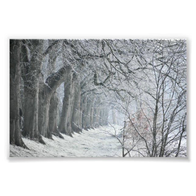 Winters Morning  Photo Print (Front)
