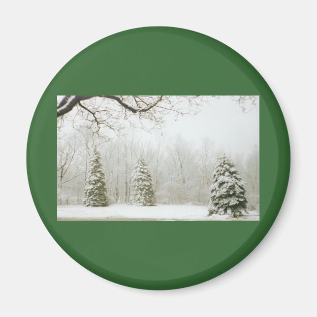 Winter's Trees Magnet (Front)