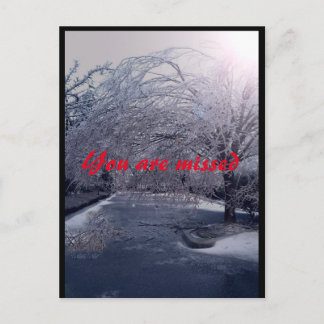 Winters Walk Postcard