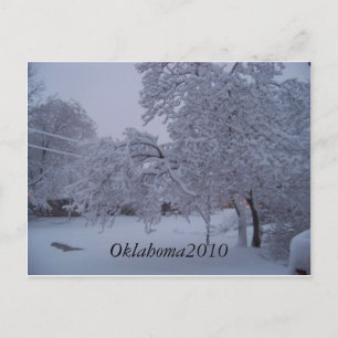 winterstorm2010 (oklahoma) postcard