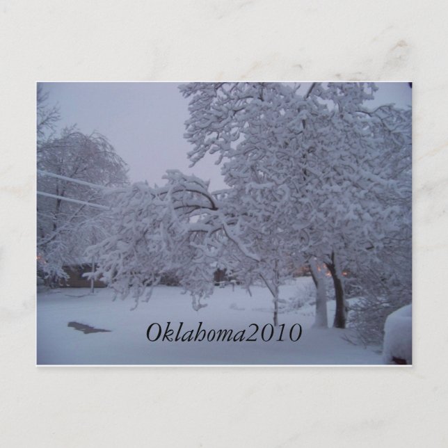 winterstorm2010 (oklahoma) postcard (Front)
