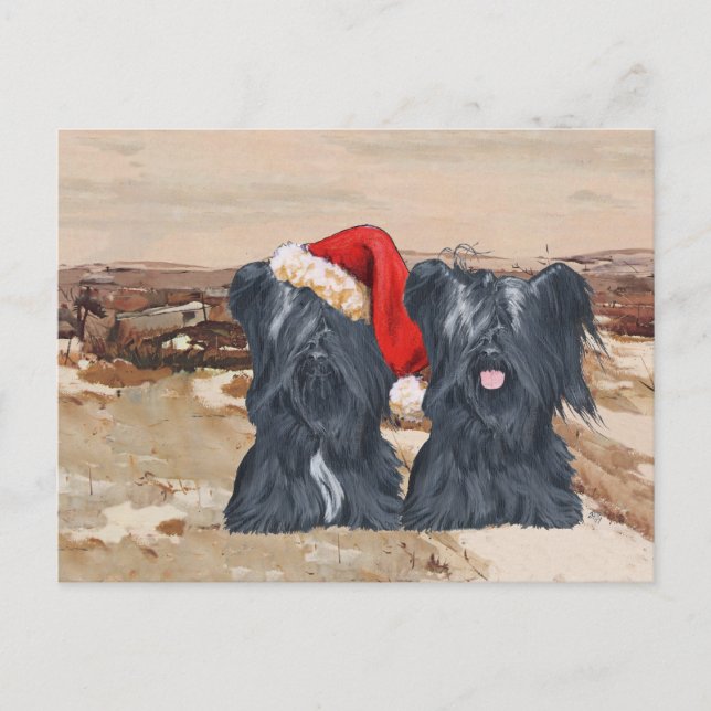 Wintertime Skye Terriers Postcard (Front)