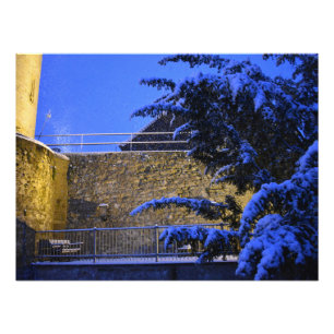 Wintertime , snow on the trees photo print