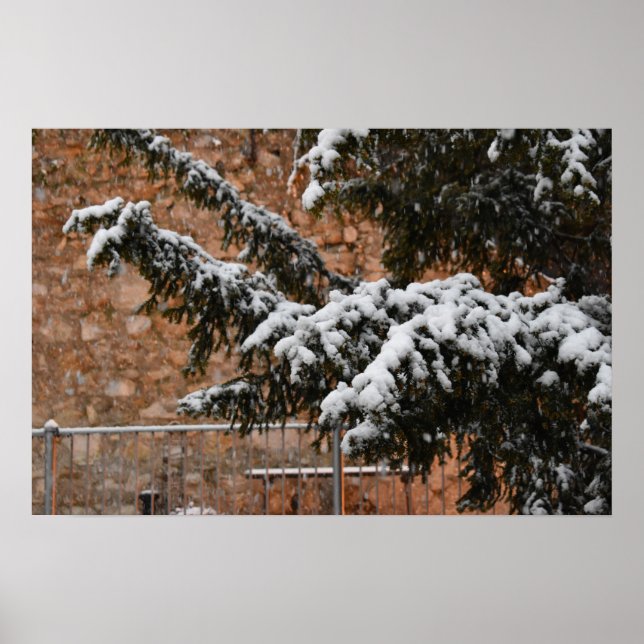 Wintertime , snow on the trees poster (Front)