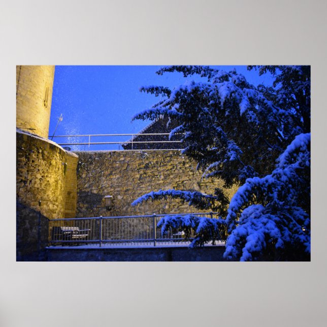 Wintertime , snow on the trees poster (Front)