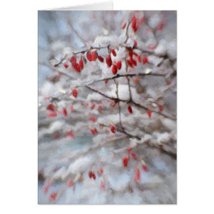Wintery Red Berries Card