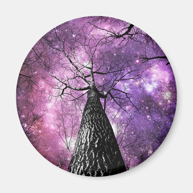 Wintry Trees Purple Pink Galaxy Skies Magnet (Front)