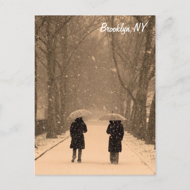 Wintry Walk Brooklyn Postcard (Front)