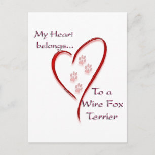 Wire Fox Terrier Heart Belongs Postcard