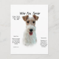 Wire Fox Terrier History; about wire fox terrier