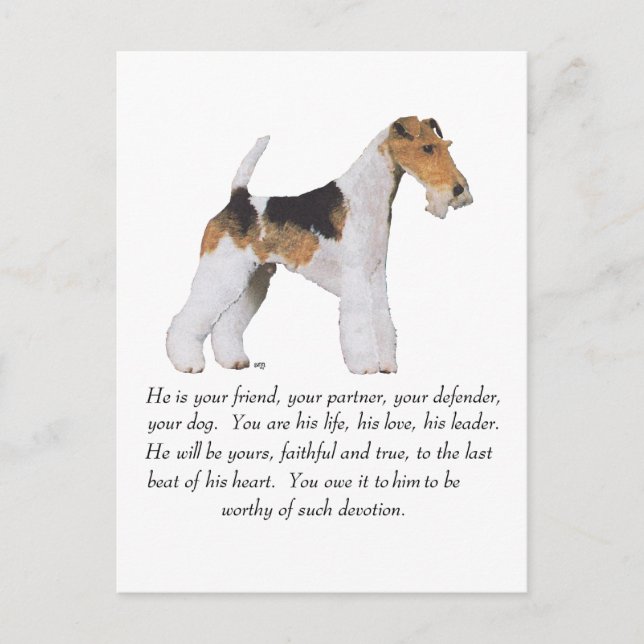 Wire Fox Terrier Memory / Dedication MALE Postcard (Front)