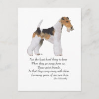 Wire Fox Terrier Rainbow Bridge