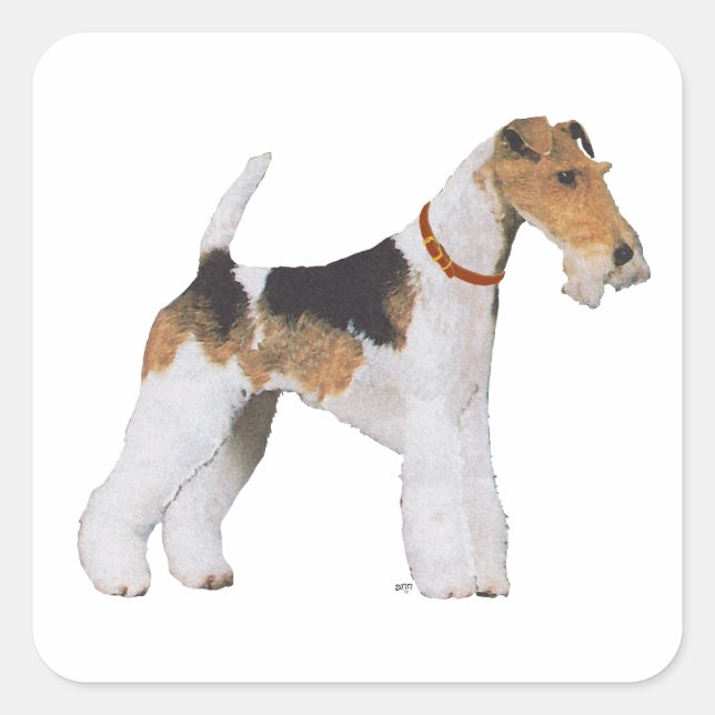 Wire Fox Terrier Square Sticker (Front)