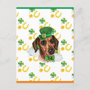 Wire Hair Dachshund Shamrock St. Patricks Day Holiday Postcard