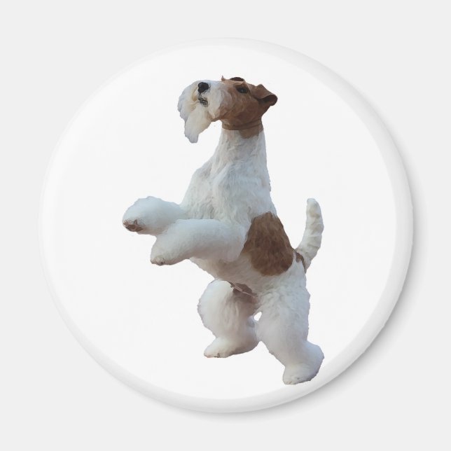 wire hair fox terrier magnet (Front)