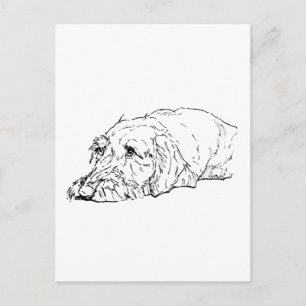 Wire Haired Dachshund Art - Cute  Postcard