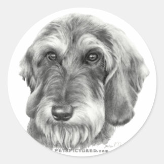 Wire-Haired Dachshund Classic Round Sticker
