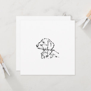 Wire Haired Dachshund Dog Parent