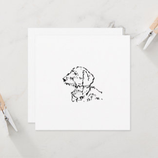 Wire Haired Dachshund Dog Parent