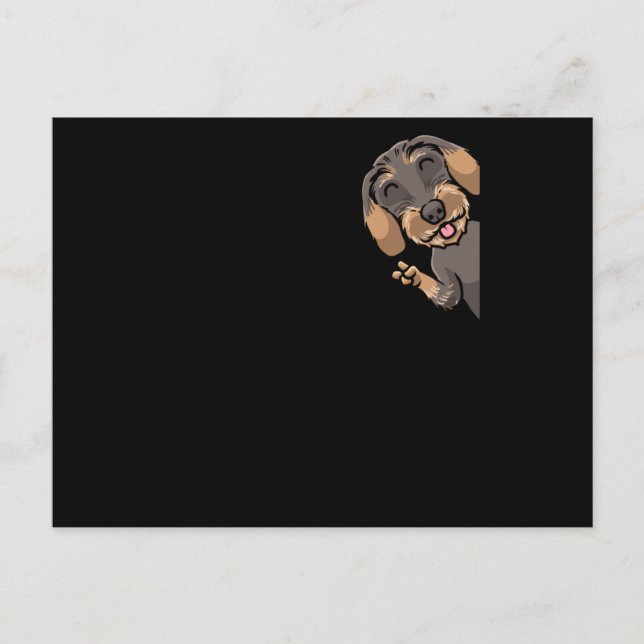 Wire-Haired Dachshund Dog Postcard (Front)