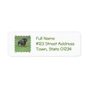 Wire Haired Dachshund Return Address Label