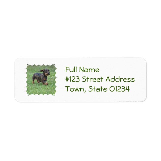 Wire Haired Dachshund Return Address Label (Front)