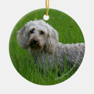 Wire-haired Standard Dachshund in Grass Ceramic Ornament