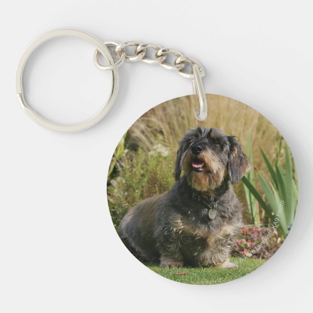 Wire-haired Standard Dachshund Key Ring (Front)