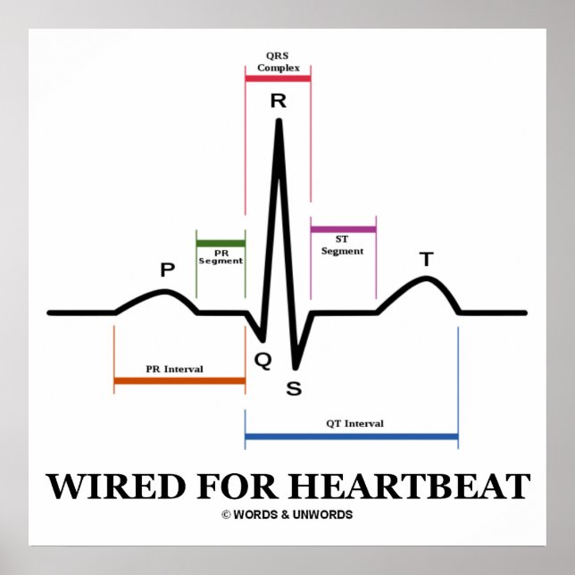 Wired For Heartbeat (ECG / EKG) Electrocardiogram Poster (Front)