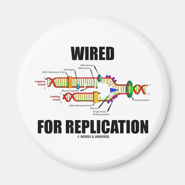 Wired For Replication (DNA Replication) Magnet (Front)