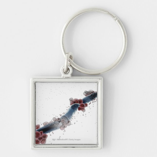 Wireframe microscopic view of candida albicans key ring (Front)